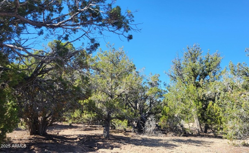 thumbnail_20250807_091535