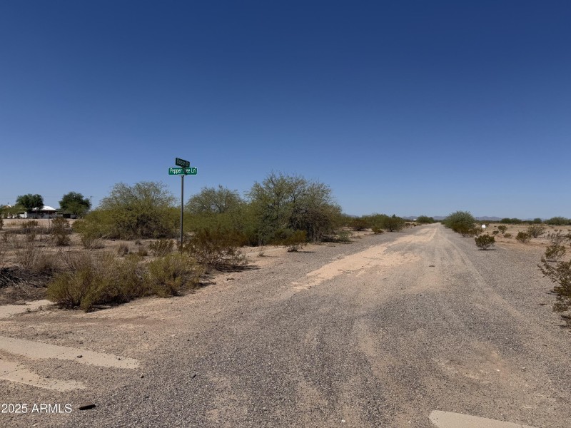 View from Pepper Tree