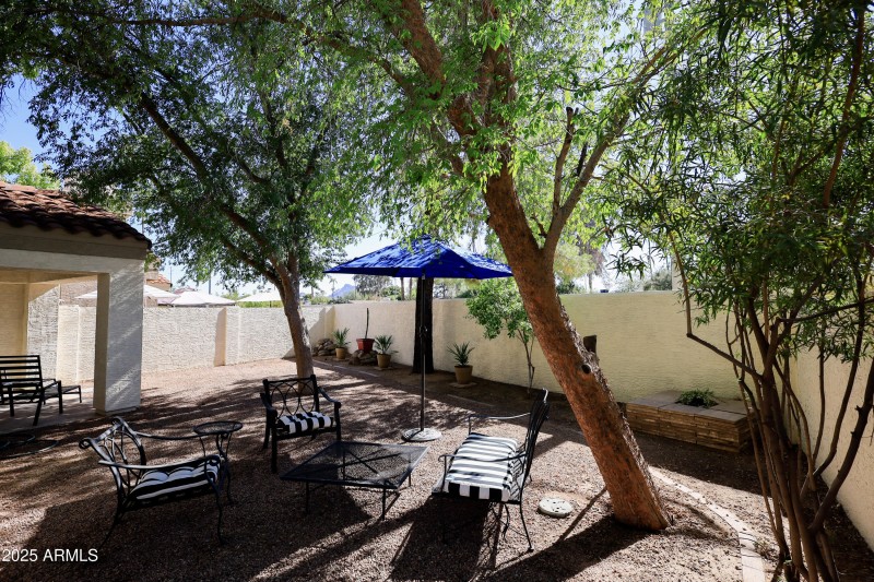 11840 N 40th Way. House Back Yard 4