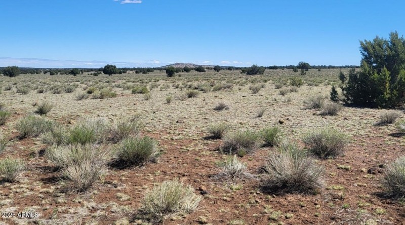 thumbnail_20250428_101311