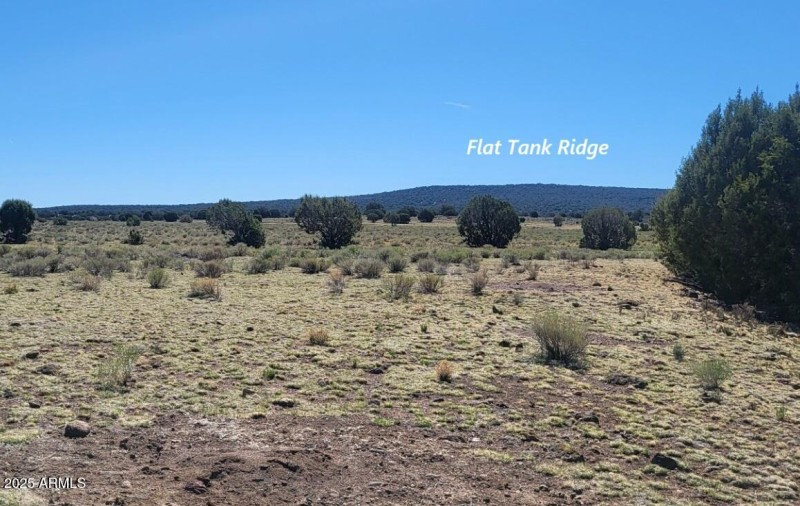 thumbnail_20250428_101325