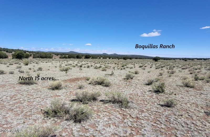 thumbnail_20250428_101406