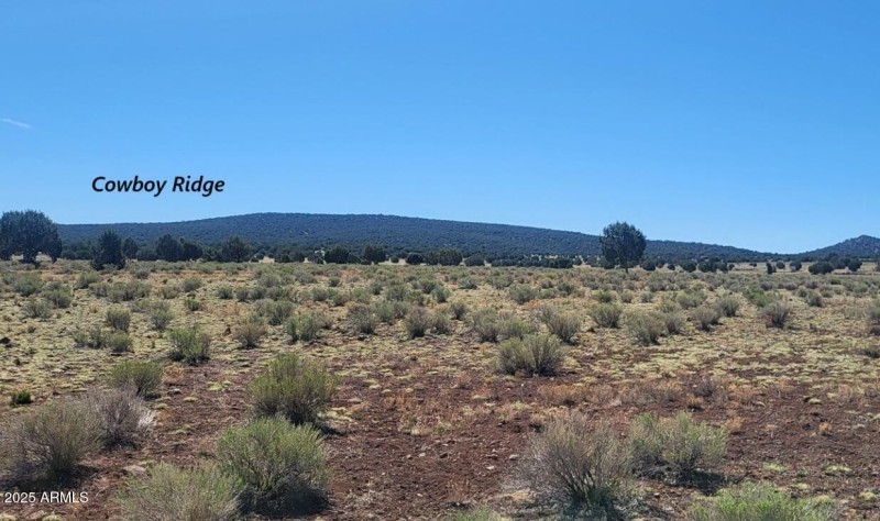 thumbnail_20250428_102024