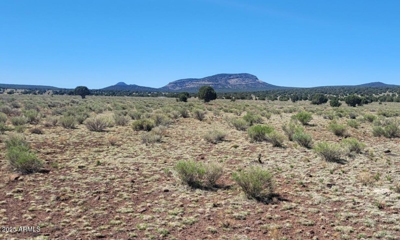 thumbnail_20250428_102029