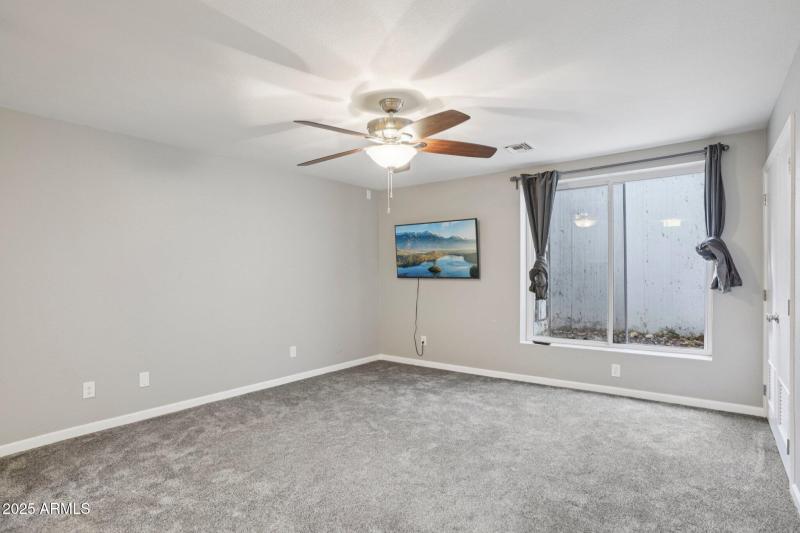 Basement Living Room