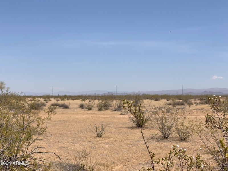 Escape the City Life!