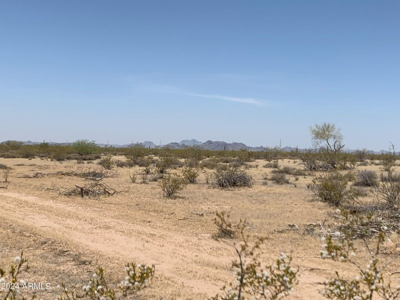 Come Home to the Country!