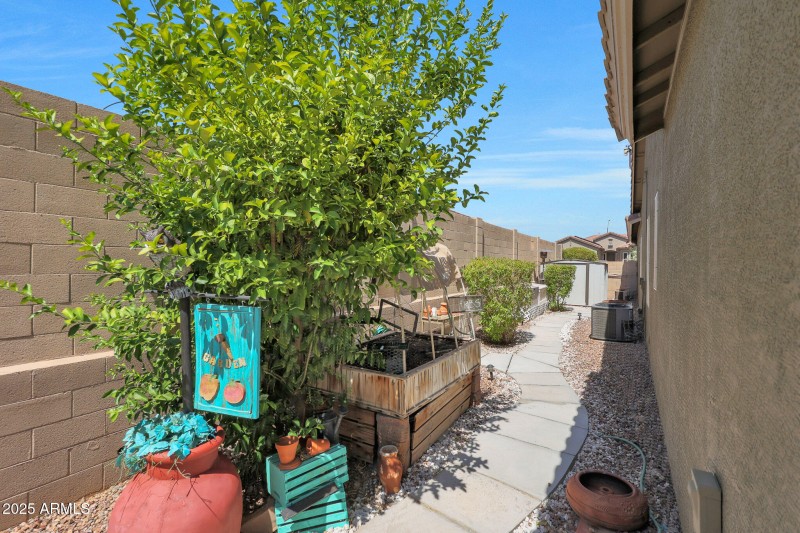 Left side yard from back