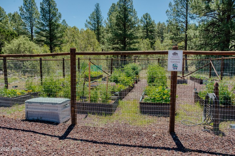 HOA Community Garden