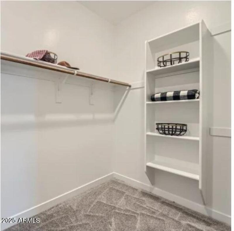 Owners Walk in Closet