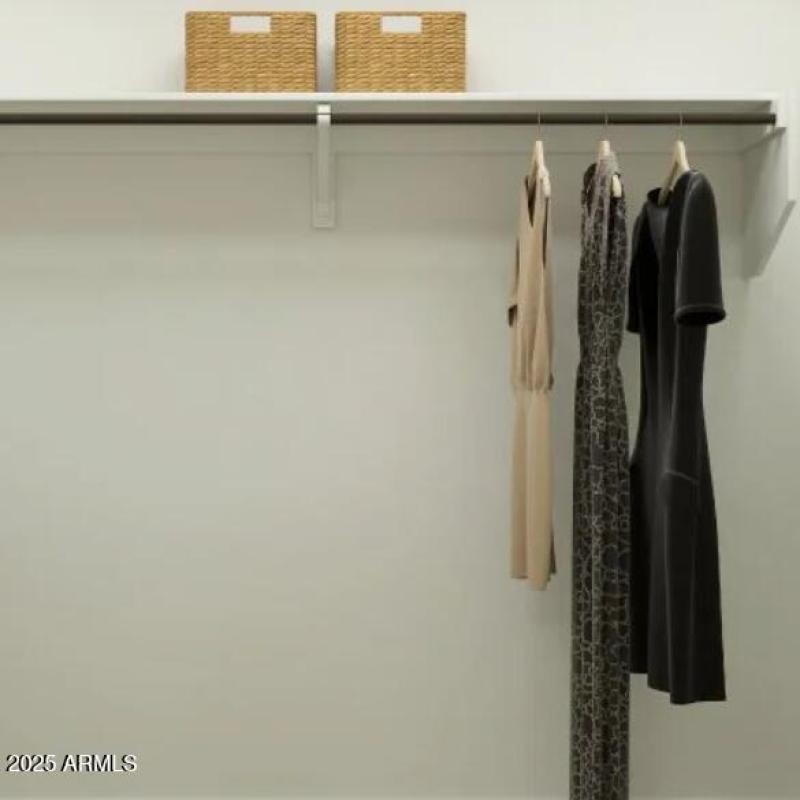 Owners Walk in Closet