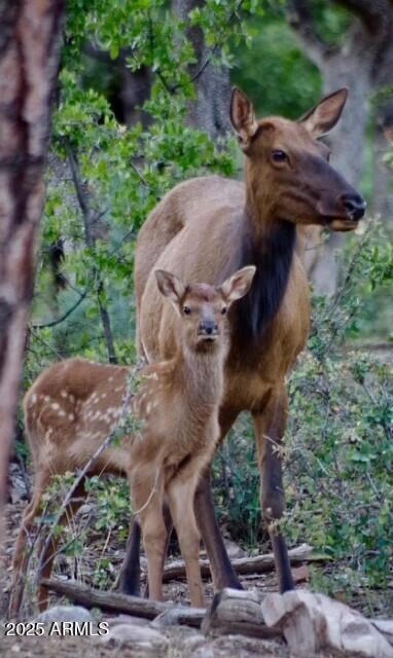 06 4519 N Sundown Lane_Back Deck View