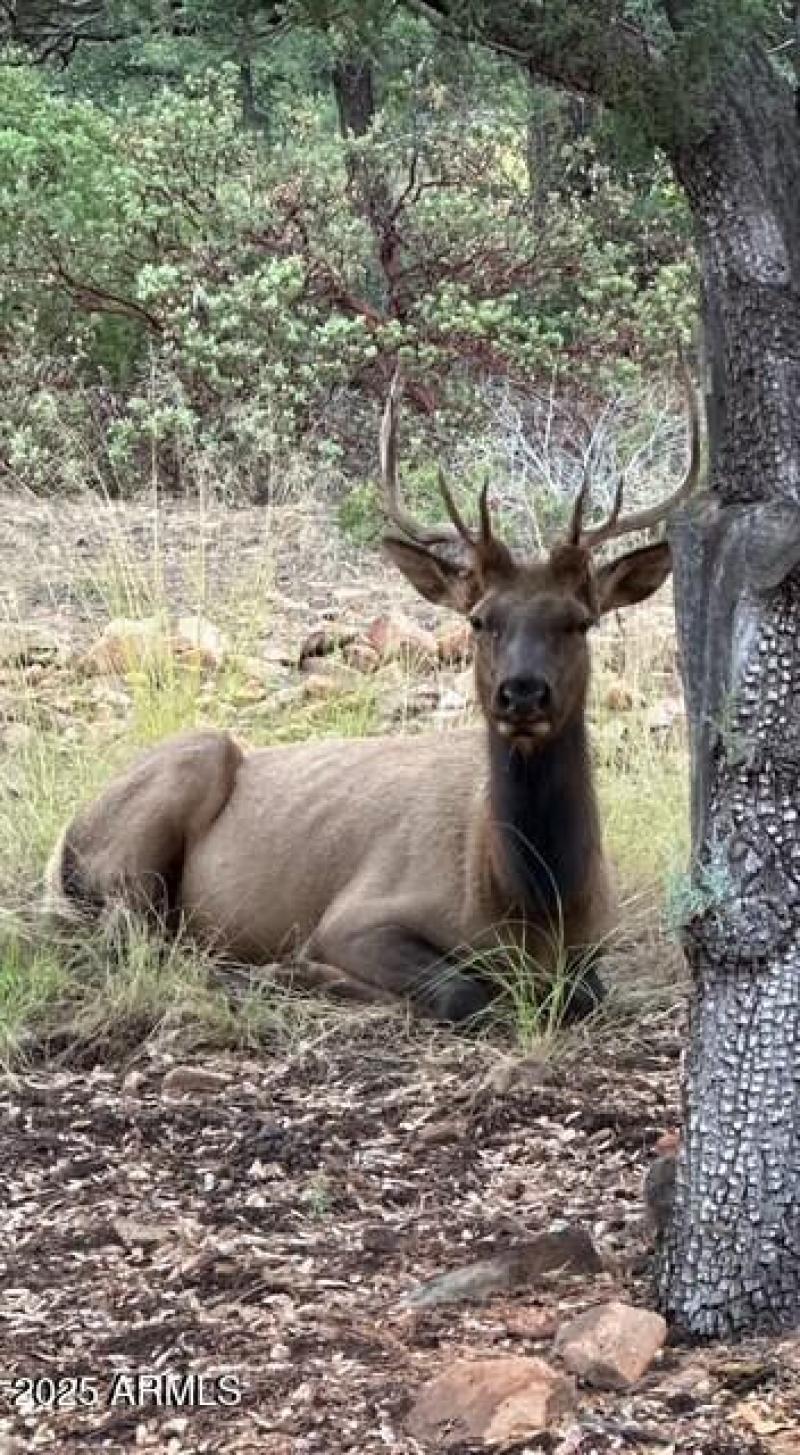 05 4519 N Sundown Lane_Back Deck View