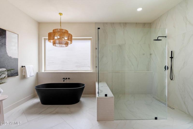 Primary Tub and Shower