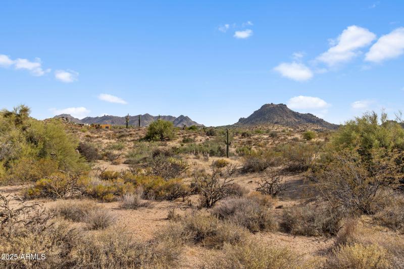 9-web-or-mls-IMG_1470