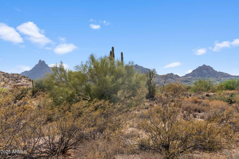 11-web-or-mls-IMG_1491