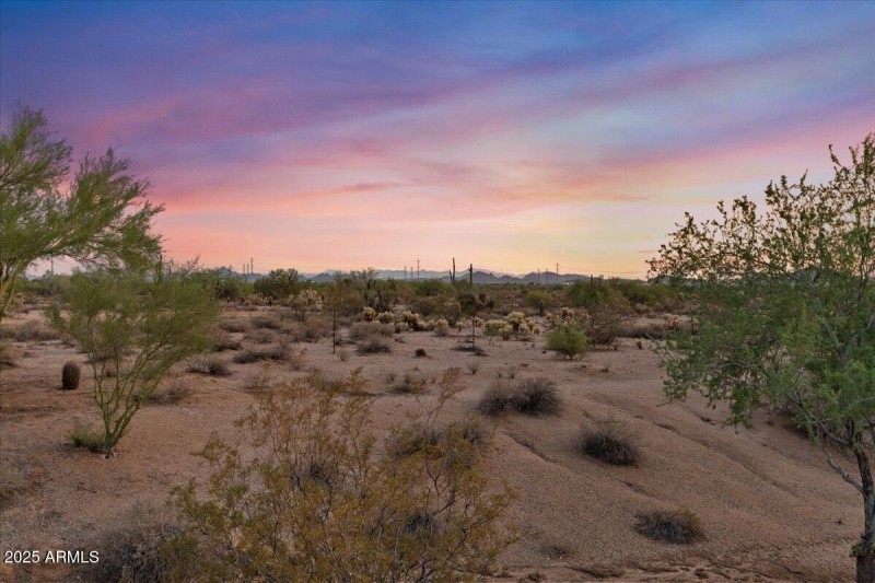49-Back yard view twilight