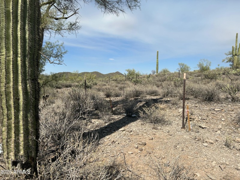 NE property corner at entrance
