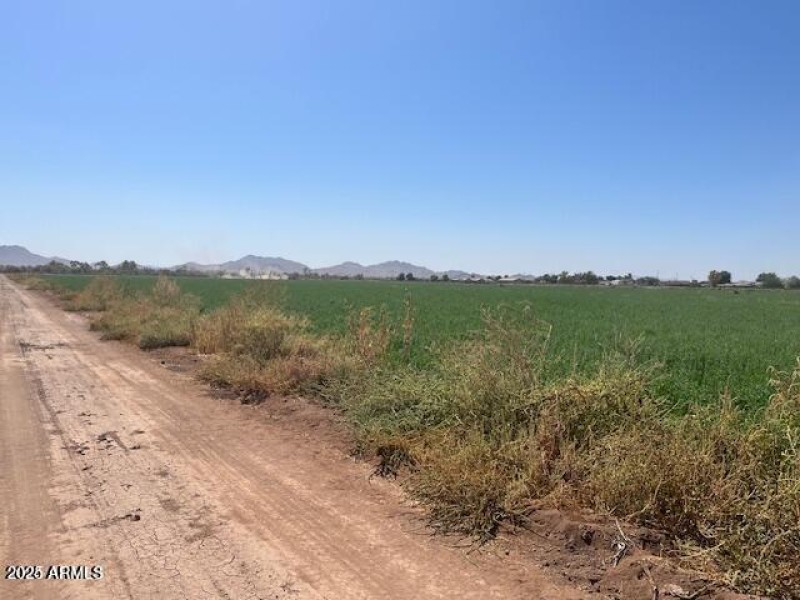 20241007205011048974000000-o