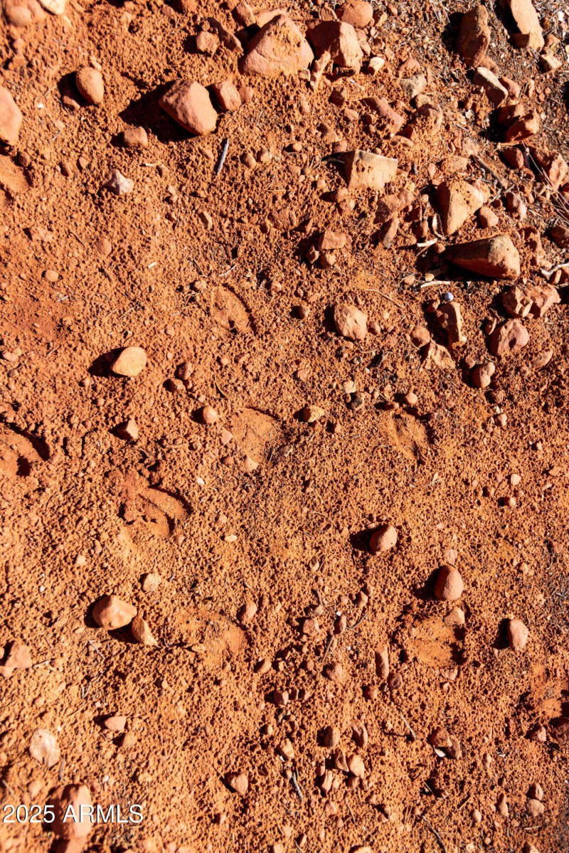 Deer Frequent this Area