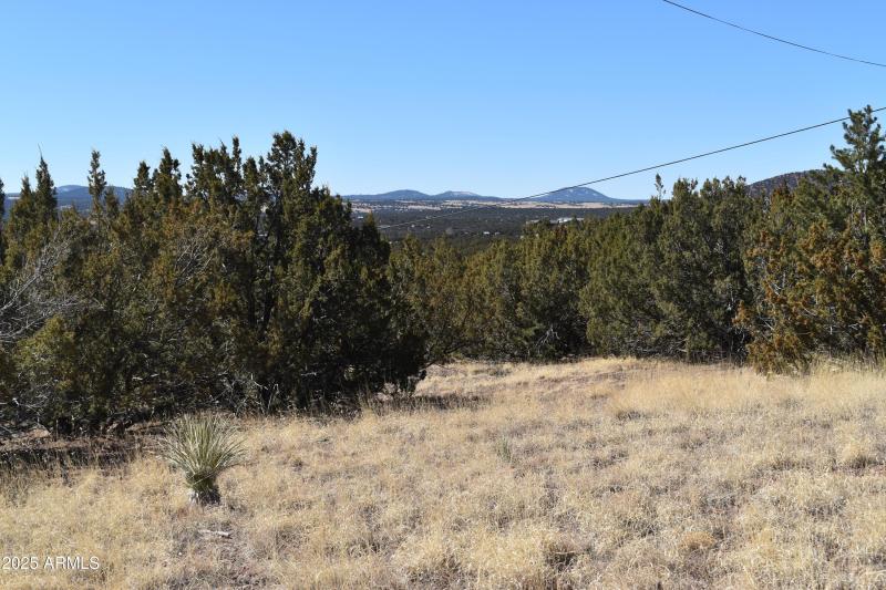 5.06 acres (approx 220413 sf)