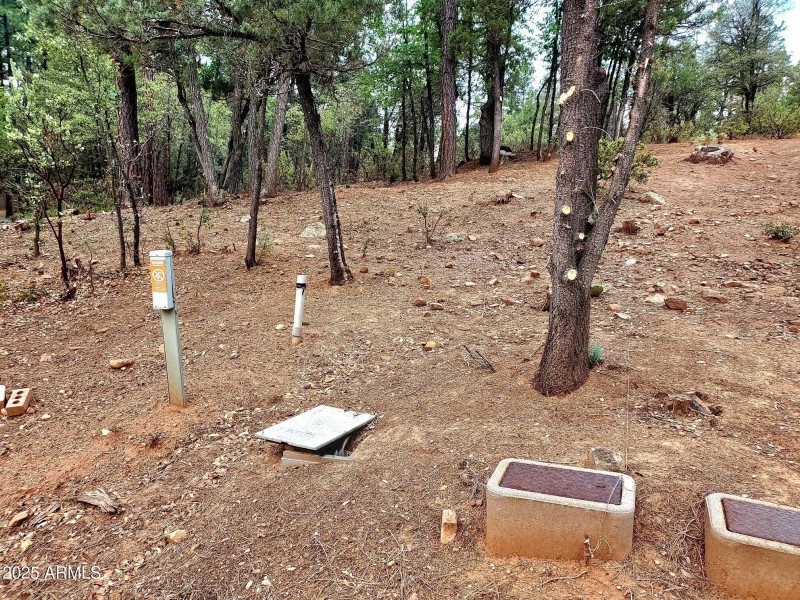 3-20250821_130112_resized_1