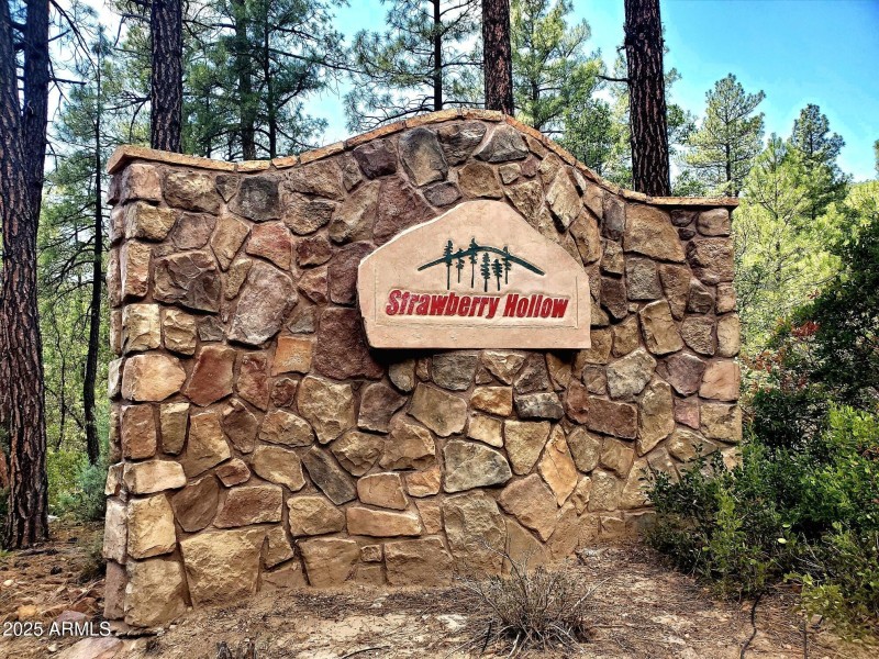 4-20250821_125520_resized_1