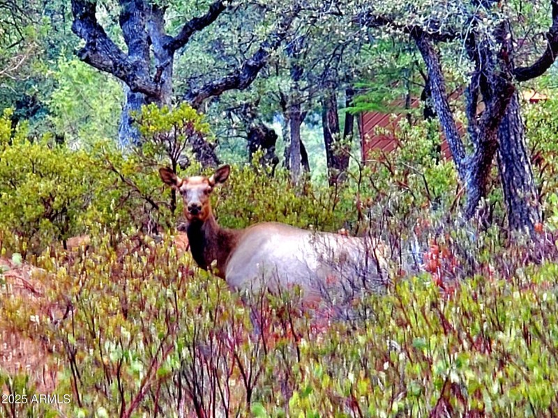 20250821_125921_resized_1