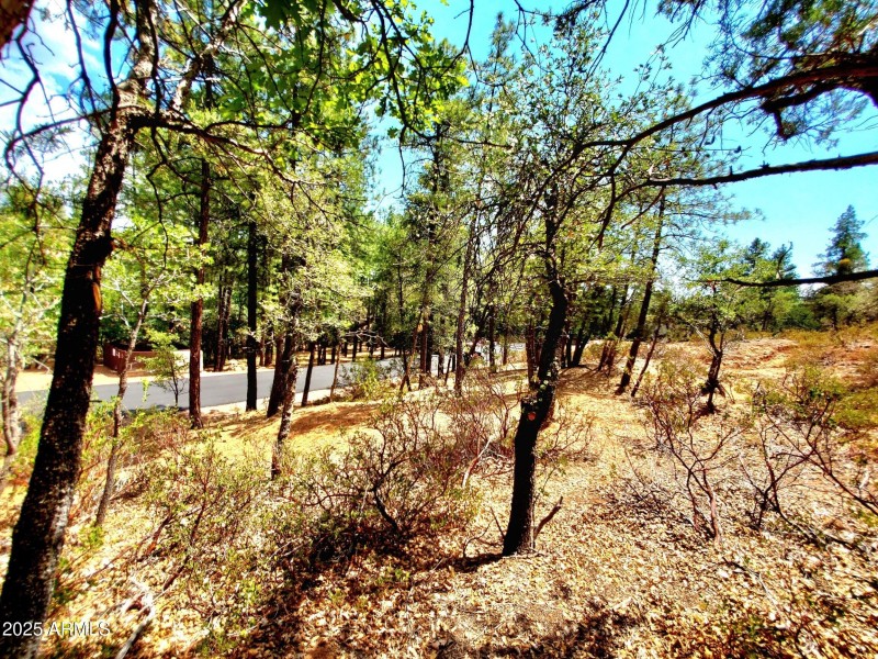 20250821_130340_resized_1