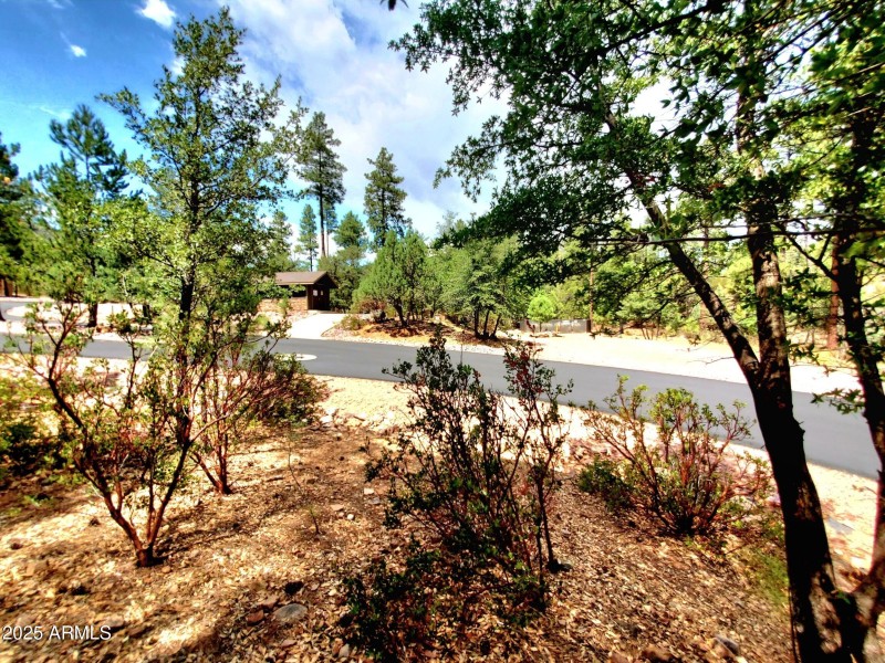 20250821_130425_resized_1