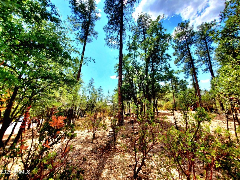 20250821_130443_resized_1