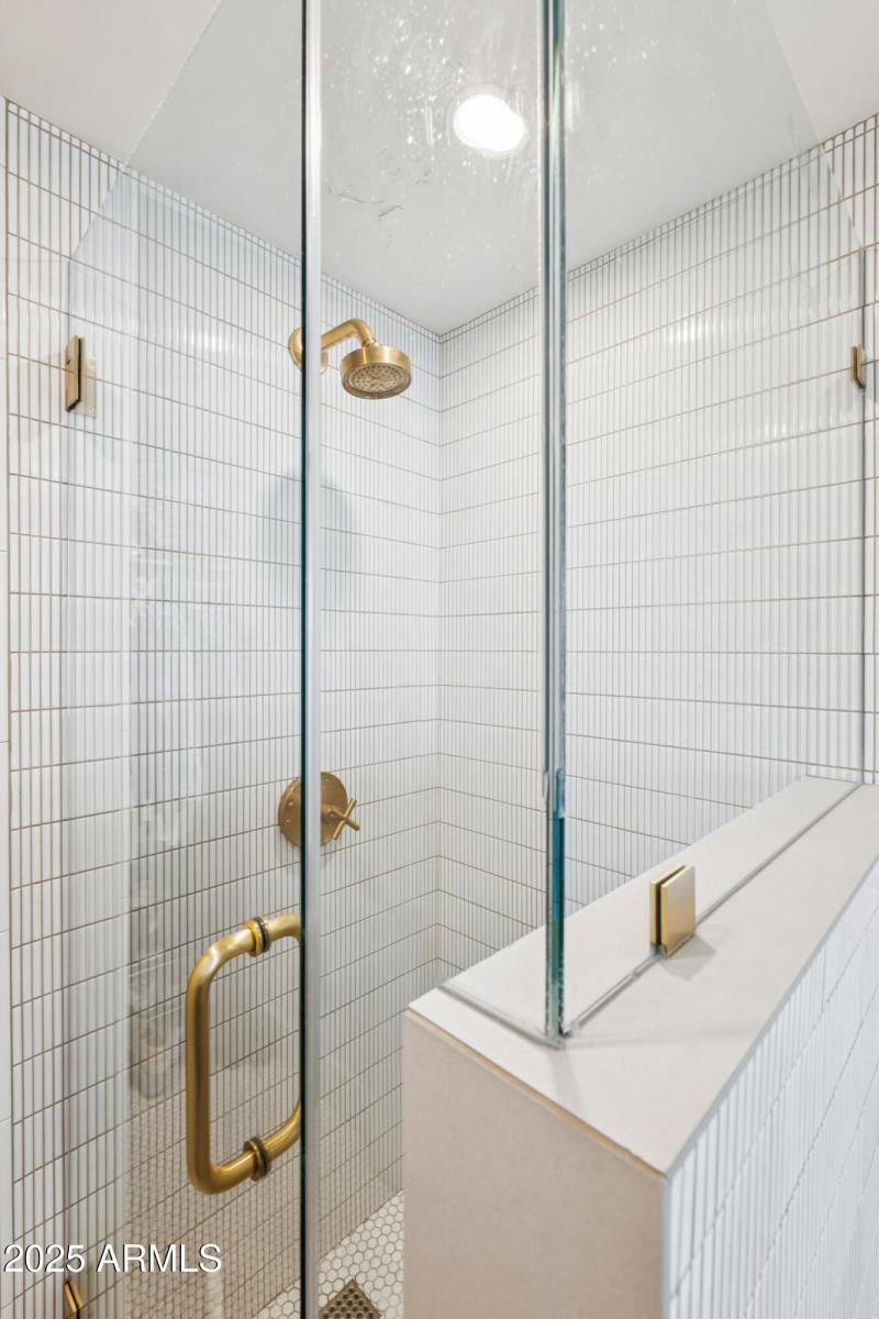 Downstairs primary shower