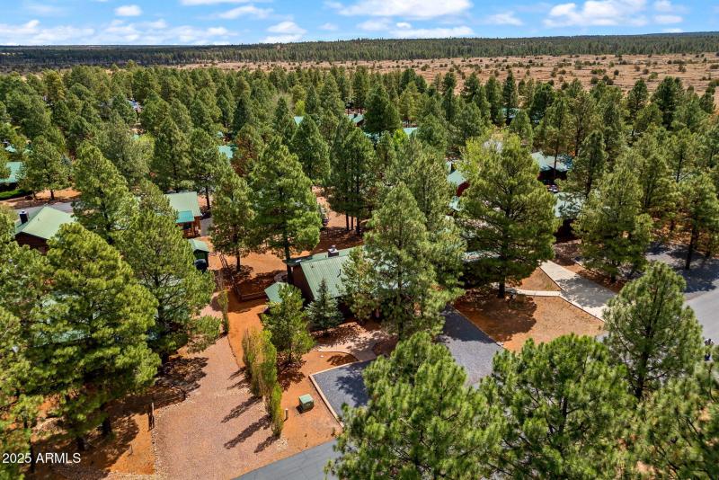 2692PalominoTrail-HeberOvergaard-AZ-27