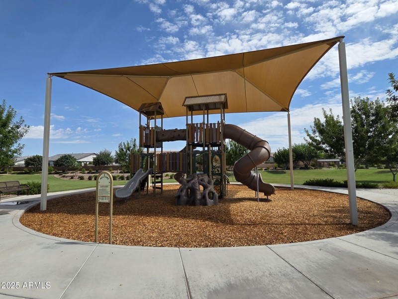 Community Play Structure