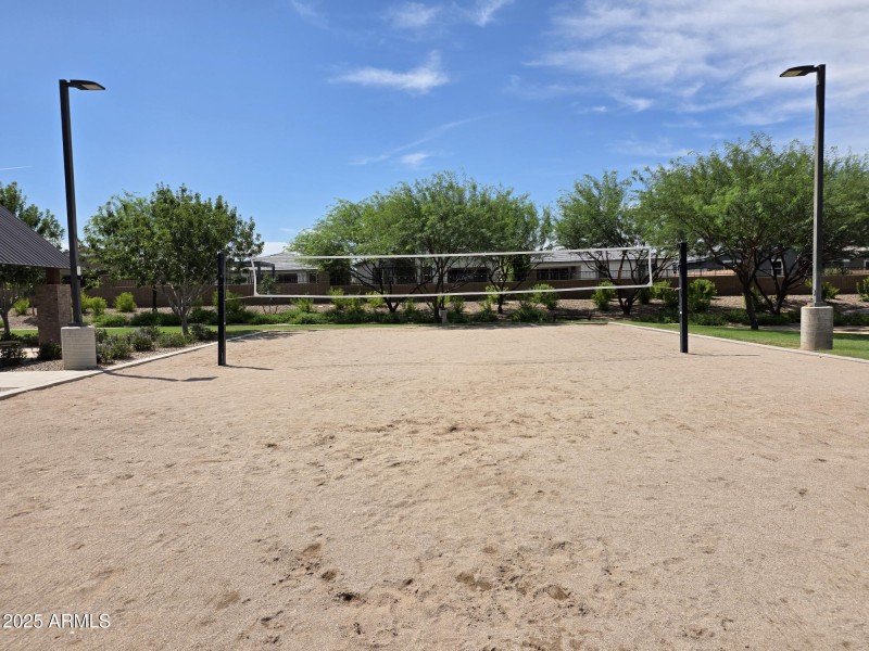 Community Volleyball