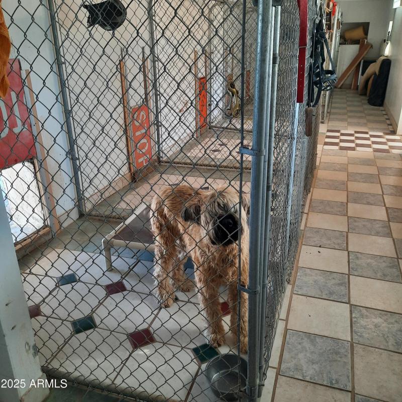 Large Kennel