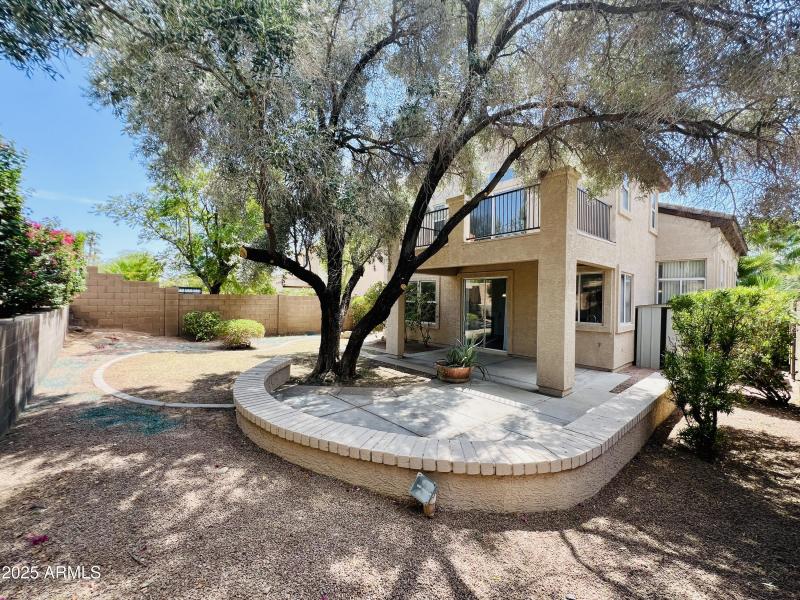 Large Yard, Mature tree and shade