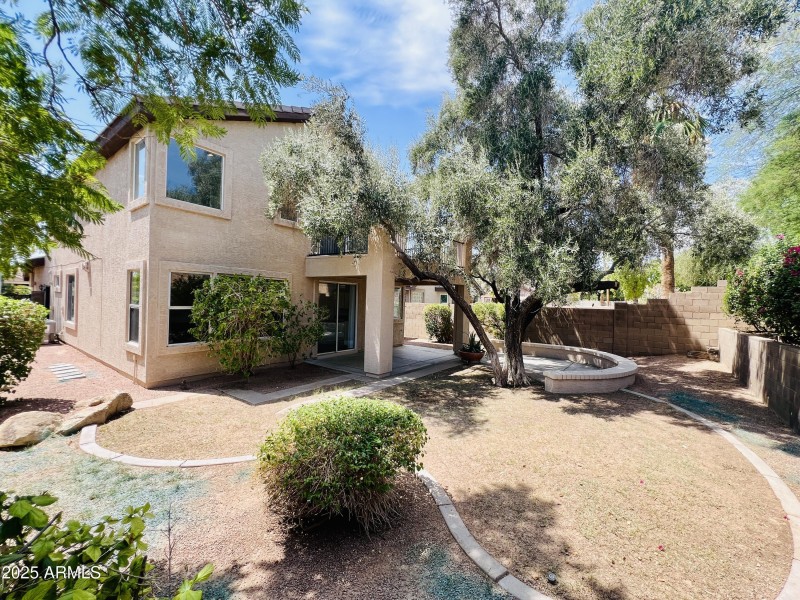 Large Yard, Mature tree and shade