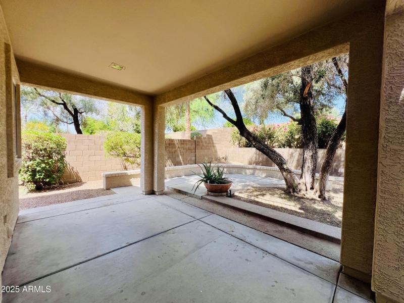 Covered Backyard Patio