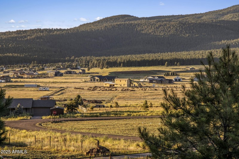 47-web-or-mls-D46A9026