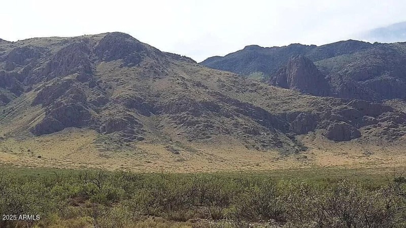 37 Acres Blacktail Rd.