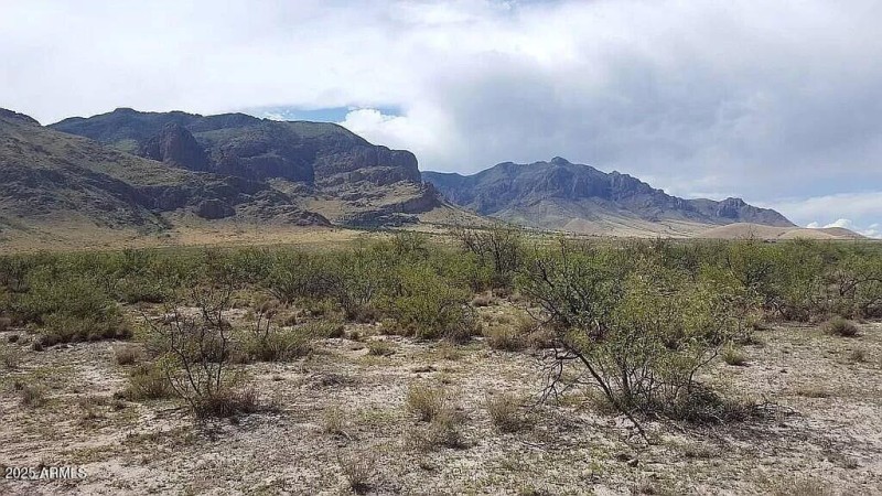 37 Acres Blacktail Rd.