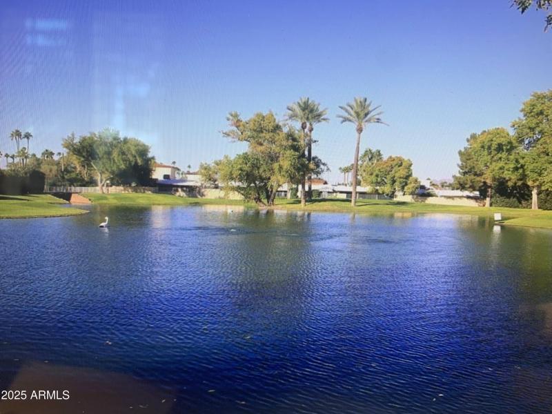 3 LAKES ON THE PROPERTY