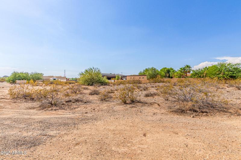 03-West White Feather