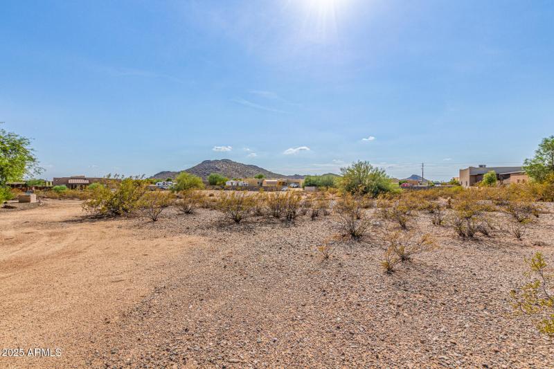 04-West White Feather