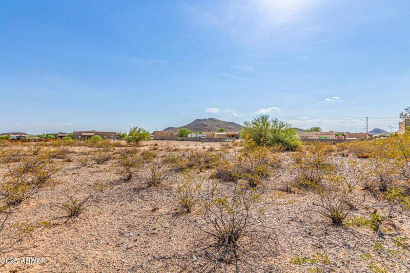 05-West White Feather