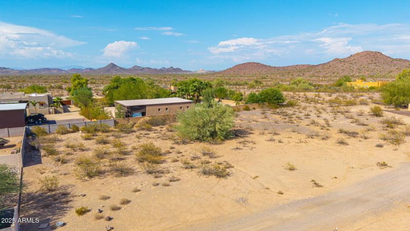 09-West White Feather