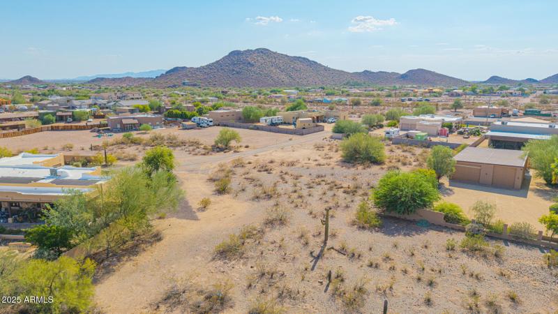 13-West White Feather