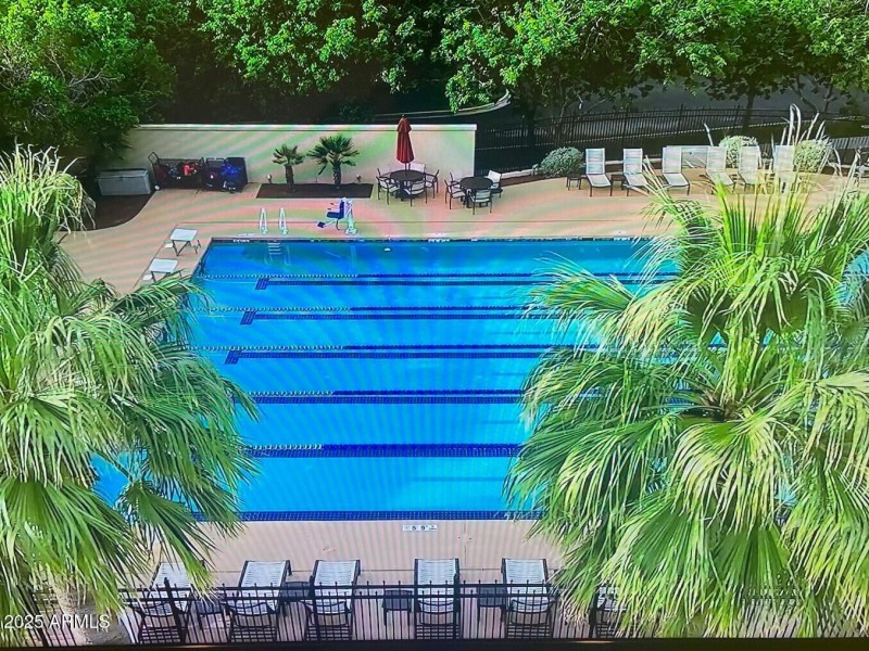 Lap Swimming Pool at the Center on Main