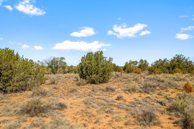 2808BourdonRanchRd-Taylor-AZ-15